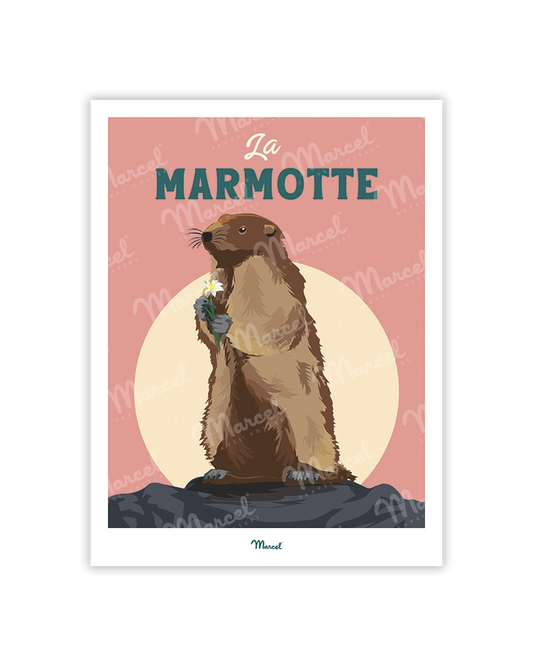 Carte Postale Travel Color "La marmotte des montagnes"