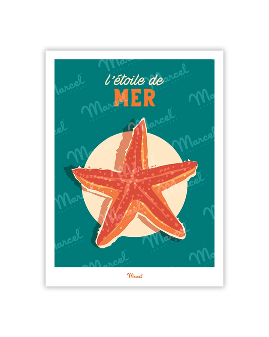 Travel Color Postcard "The Starfish"
