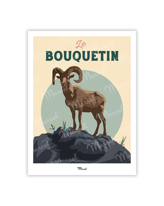Carte Postale Travel Color "Le bouquetin des montagnes"