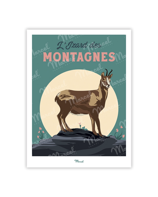 Carte Postale Travel Color "L'izard des montagnes"