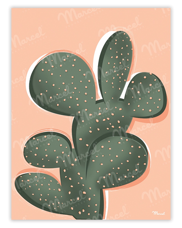 Affiche "Cactus"
