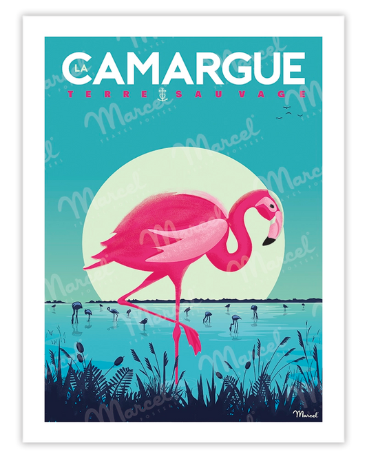 Poster LA CAMARGUE "Flamingos"