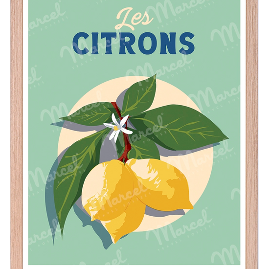 Chêne