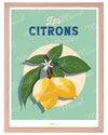Chêne