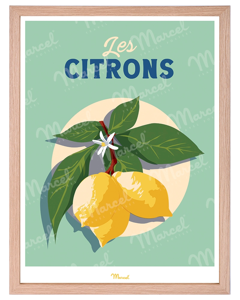 Chêne