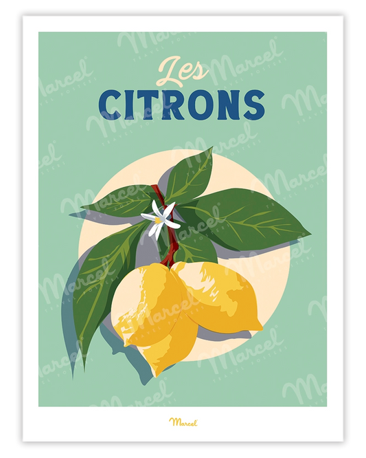 Affiche Travel Color "Les Citrons"