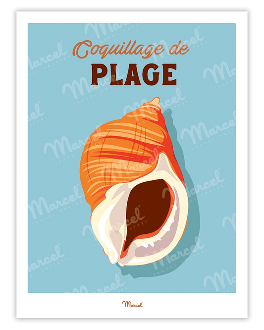 Affiche Travel Color "Coquillage de plage"