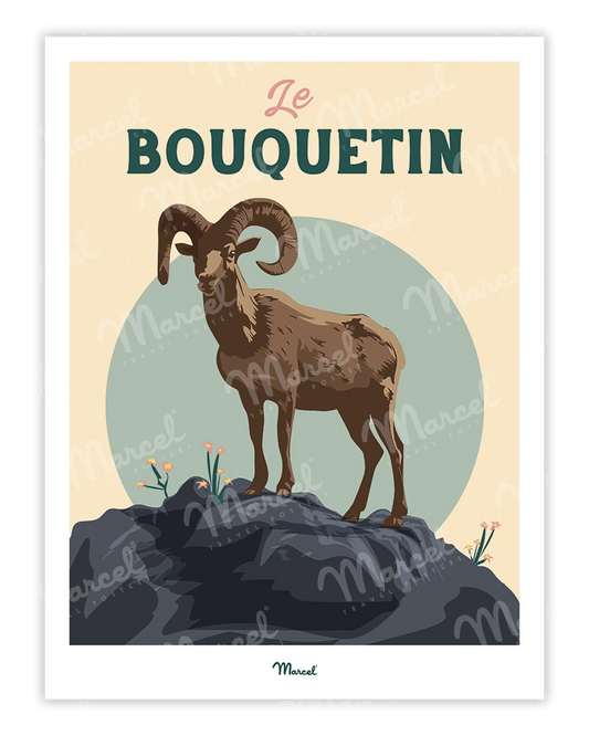 Affiche Travel Color "Le bouquetin des montagnes"