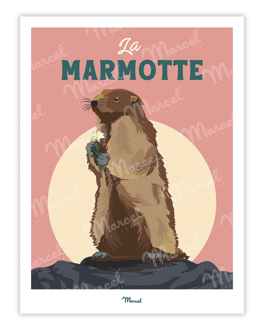 Affiche Travel Color "La marmotte des montagnes"