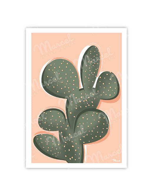 Carte Postale "Cactus"