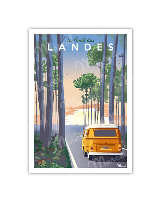 Postcard "LANDES Forest"