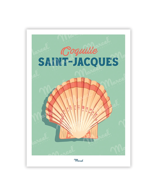 Travel Color Postcard "Scallop"