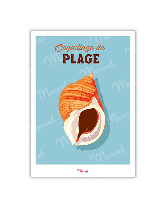 Travel Color Postcard "Beach Shell"