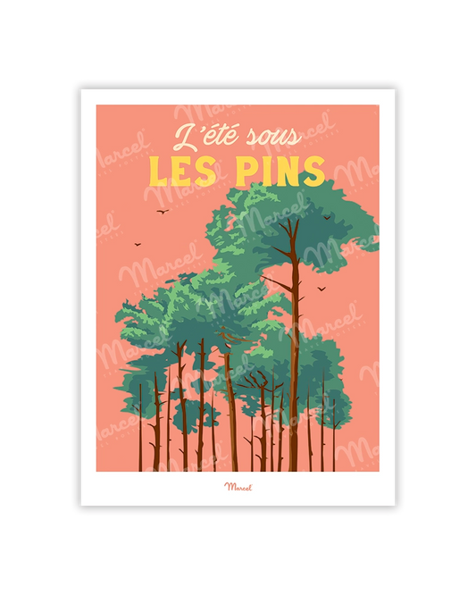 Travel Color Postcard "Summer under the Pines"