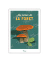 Travel Color postcard "Mushroom in the heart of the forest"