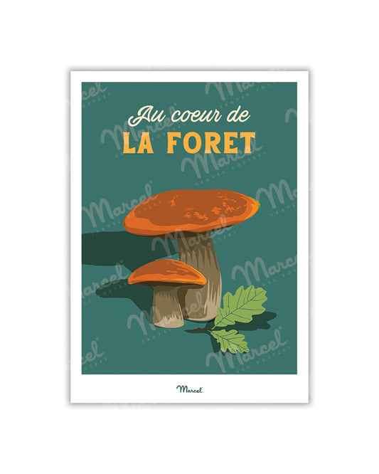 Travel Color postcard "Mushroom in the heart of the forest"