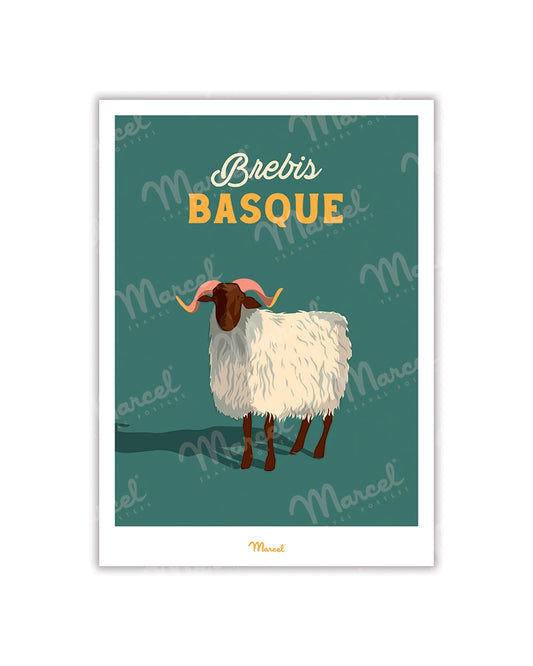 Travel Color postcard "Basque sheep"