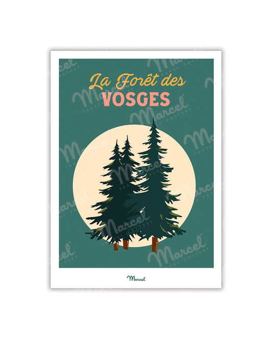 Travel Color Postcard "Vosges Forest"