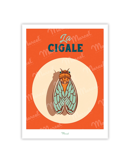 Travel Color "Cicada" postcard