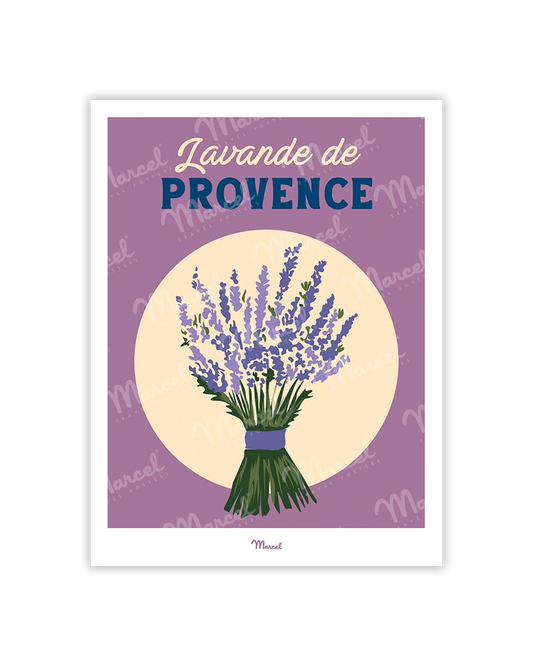 Travel Color PROVENCE "Lavender" postcard