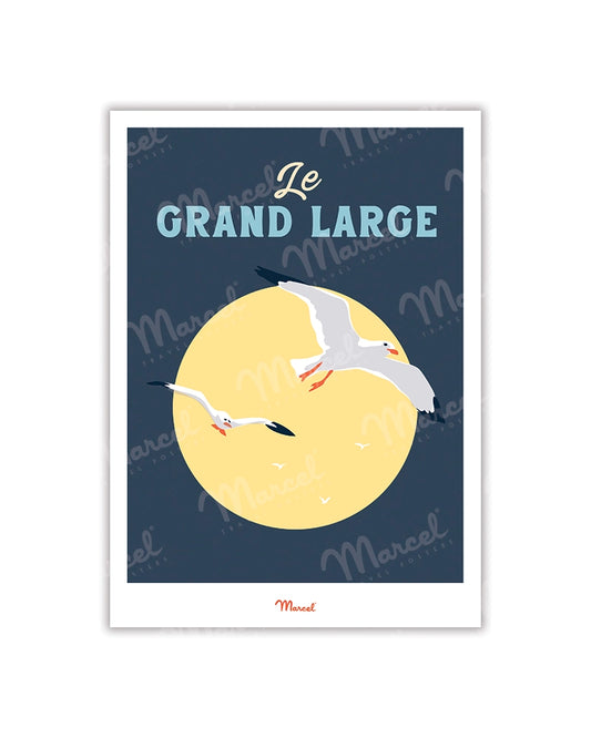 Travel Color Postcard "The Great Seagull"