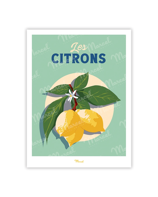 Travel Color Postcard "Lemons"