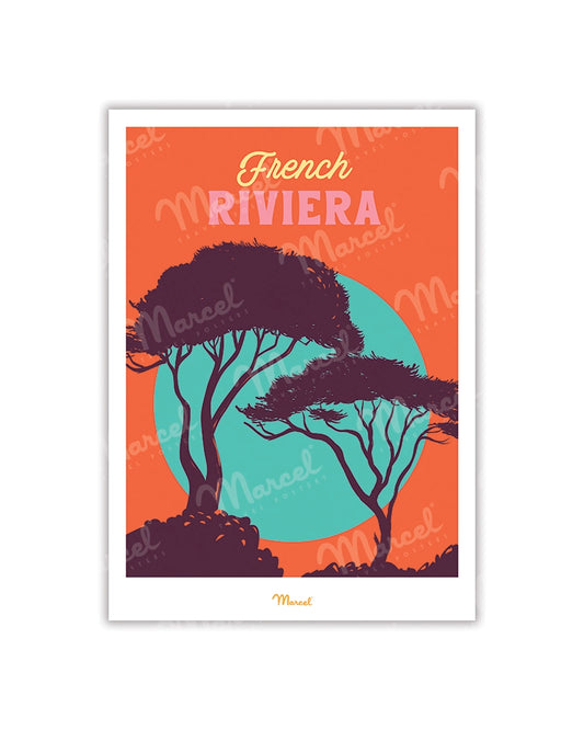 Travel Color FRENCH RIVIERA postcard "Parasol Pine"