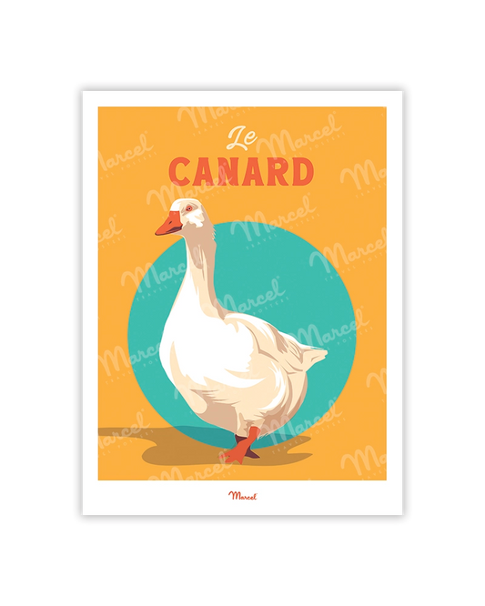 Travel Color Postcard "The Duck of the South West"