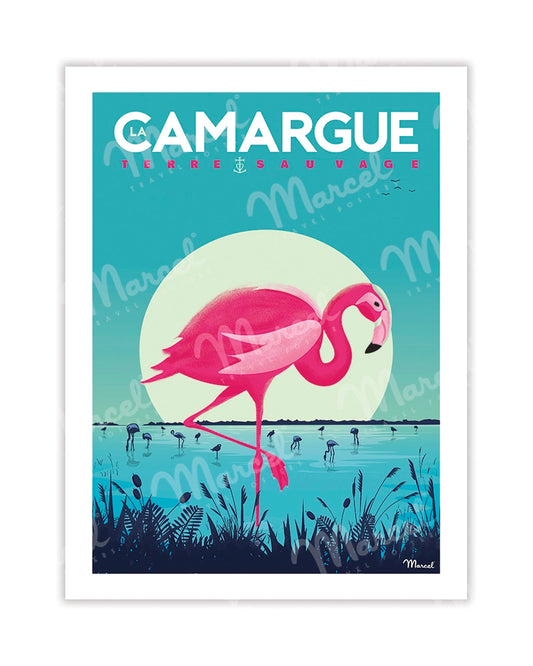 CAMARGUE Postcard "Flamingos"