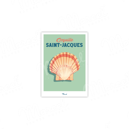 Coquille Saint-Jacques