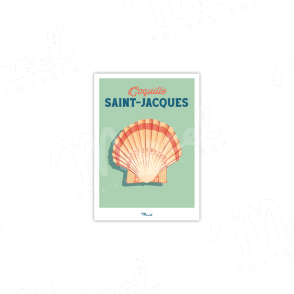 Coquille Saint-Jacques