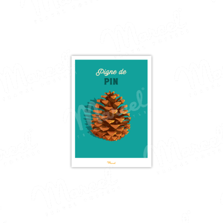 Pine cone