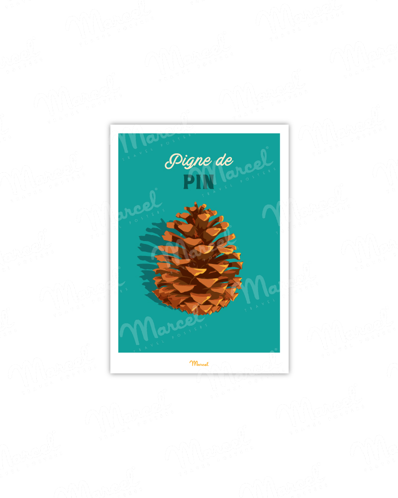 Pine cone