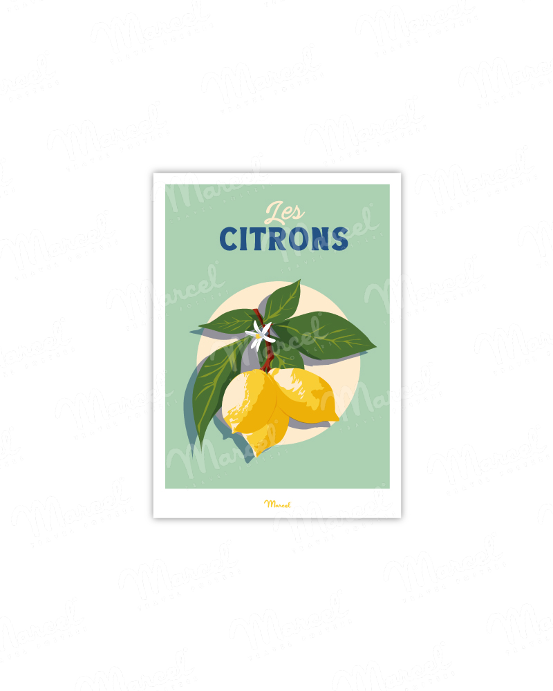 Postcard Travel Color "Lemons"