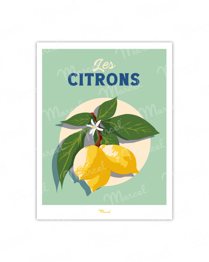 Poster Travel Color "Lemons"