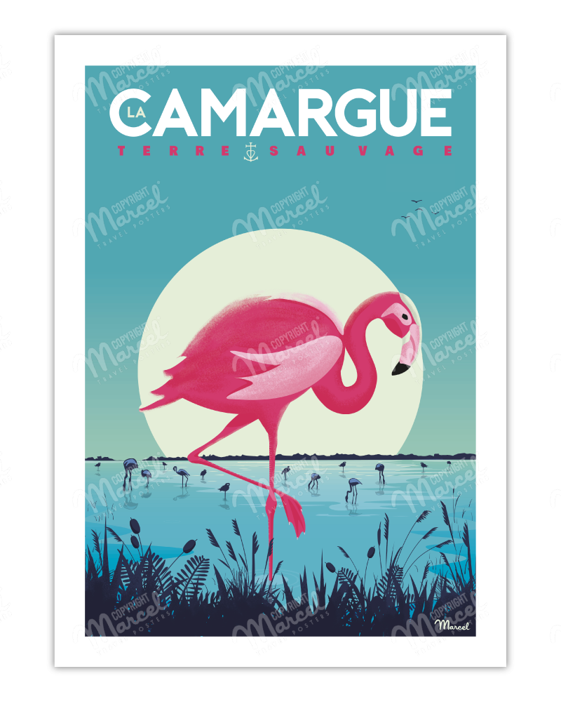 Affiche La Camargue "Flamingos"
