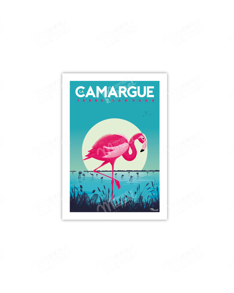 Carte Postale CAMARGUE "Flamingos"