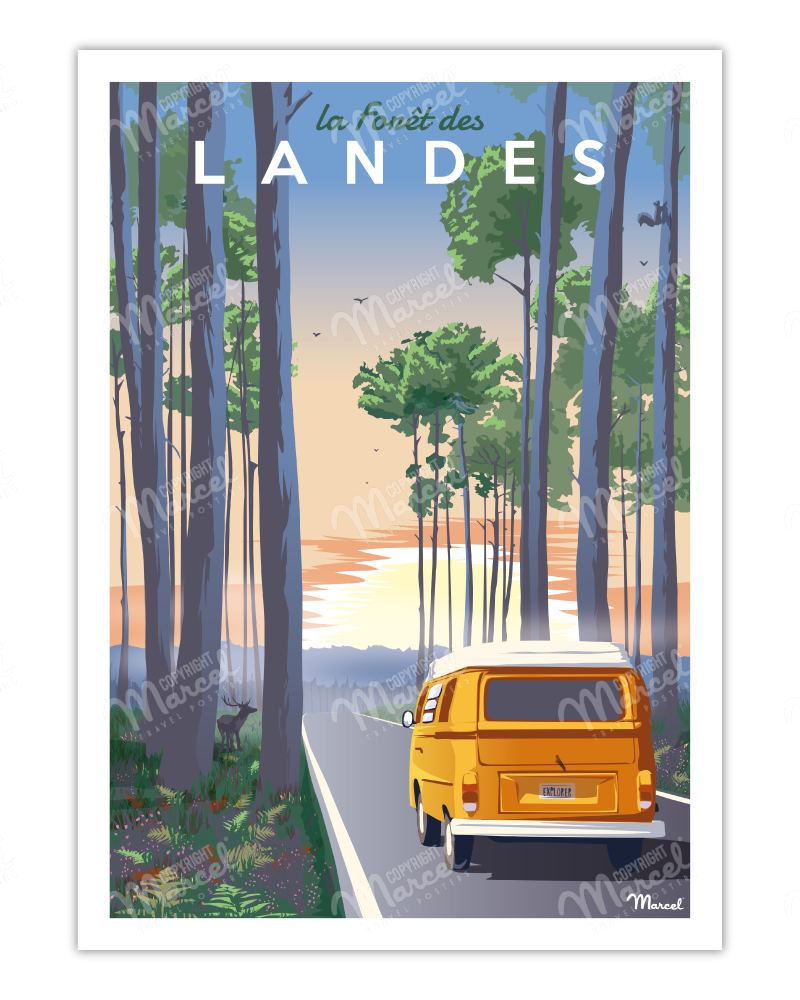 Poster LANDES Forest