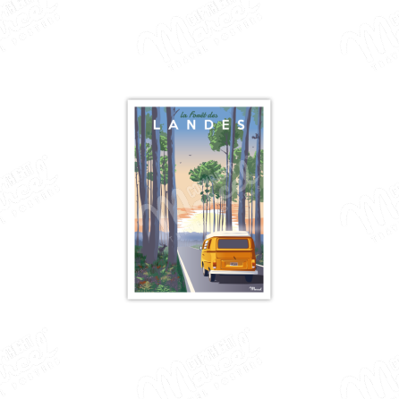 Postcard LANDES Forest