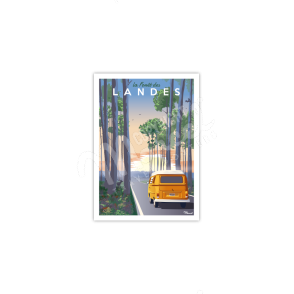 Postcard LANDES Forest