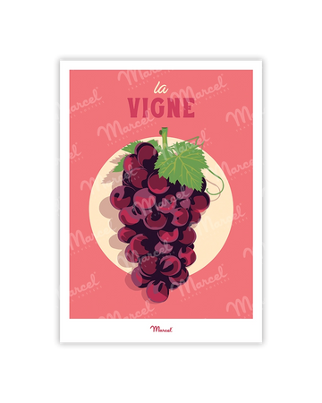 Carte Postale Travel Color "Vin et Grappe de raisin"