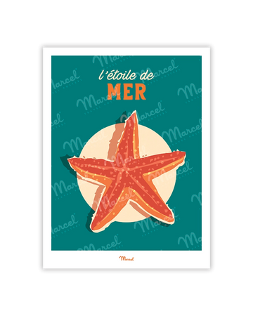 Carte postale Travel Color "L'Etoile de Mer"