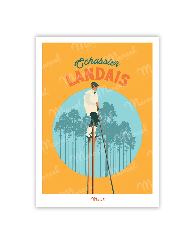 LANDES "L'Echassier"