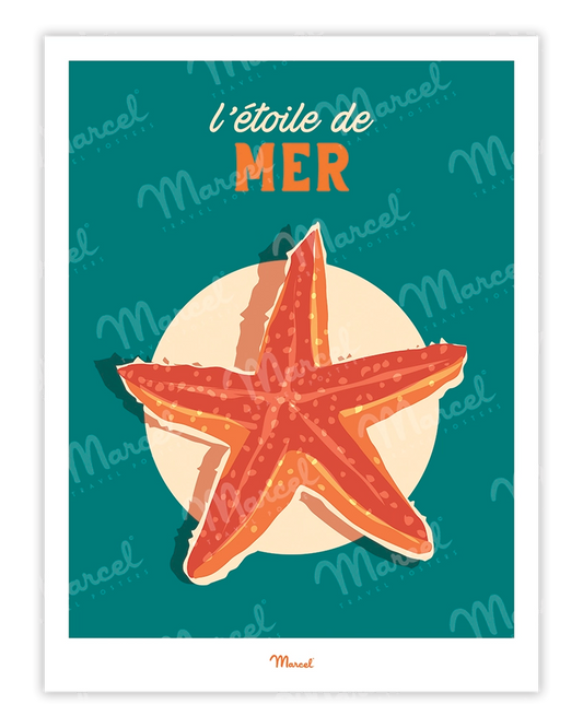 Affiche Travel Color "L'Etoile de Mer"