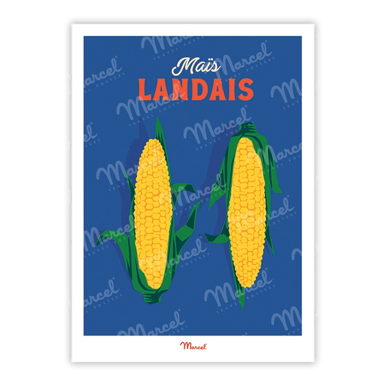 mais landais