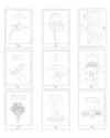 Carnet de Coloriage "Huile d'olive"