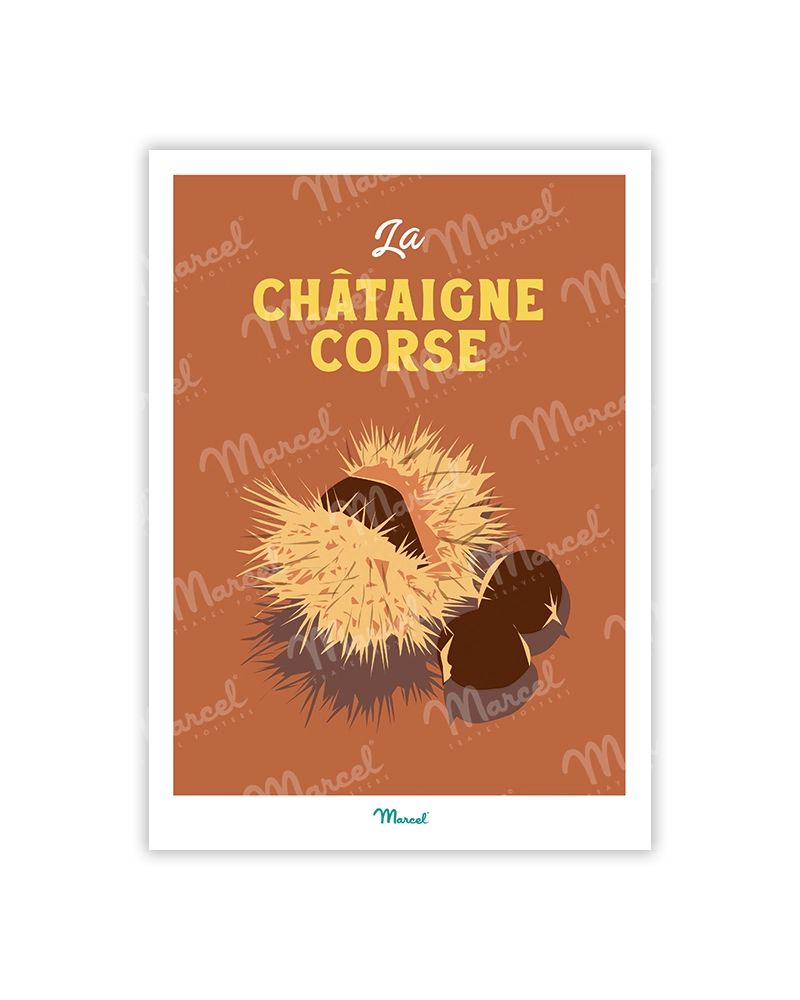 Chataigne corse
