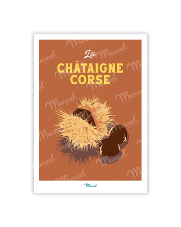 Chataigne corse