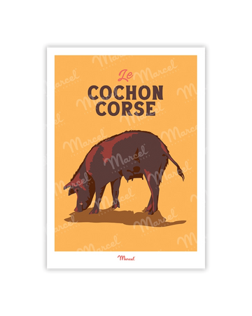 Cochon corse