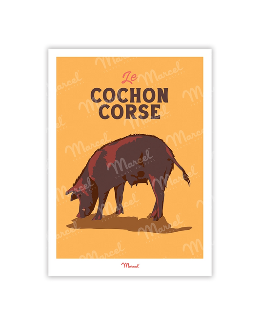 Cochon corse